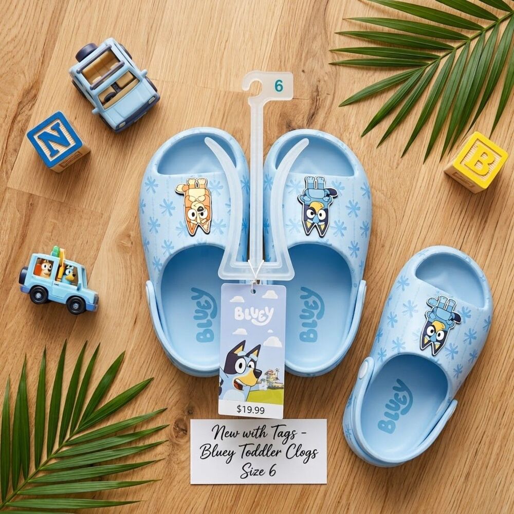 Bluey Toddler Comfort Slides Size 6 NWT